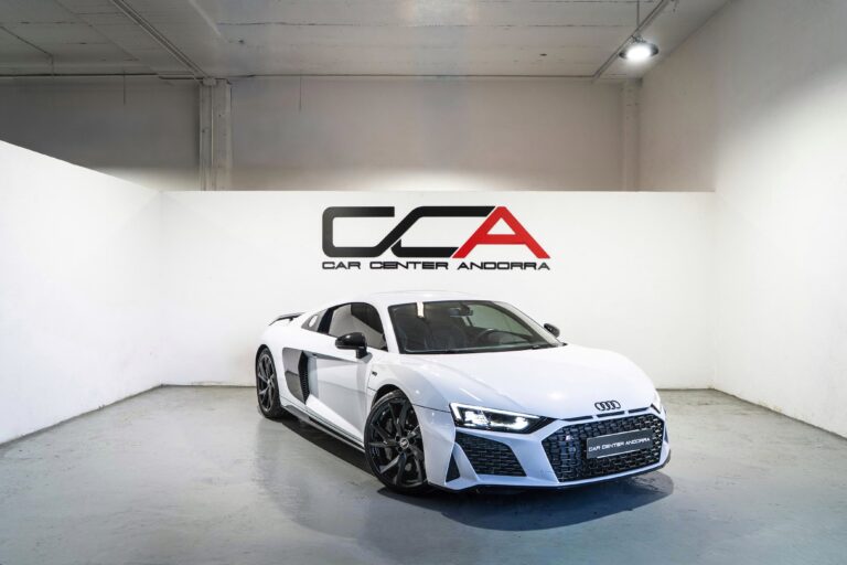 AUDI R8 PERFORMANCE